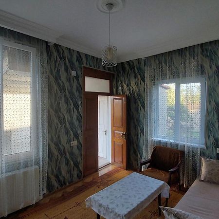 Guesthouse Angelina-Koko シグナギ エクステリア 写真